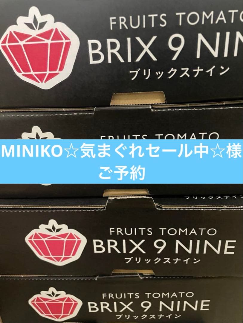 MINIKO☆気まぐれセール中☆様 ご予約