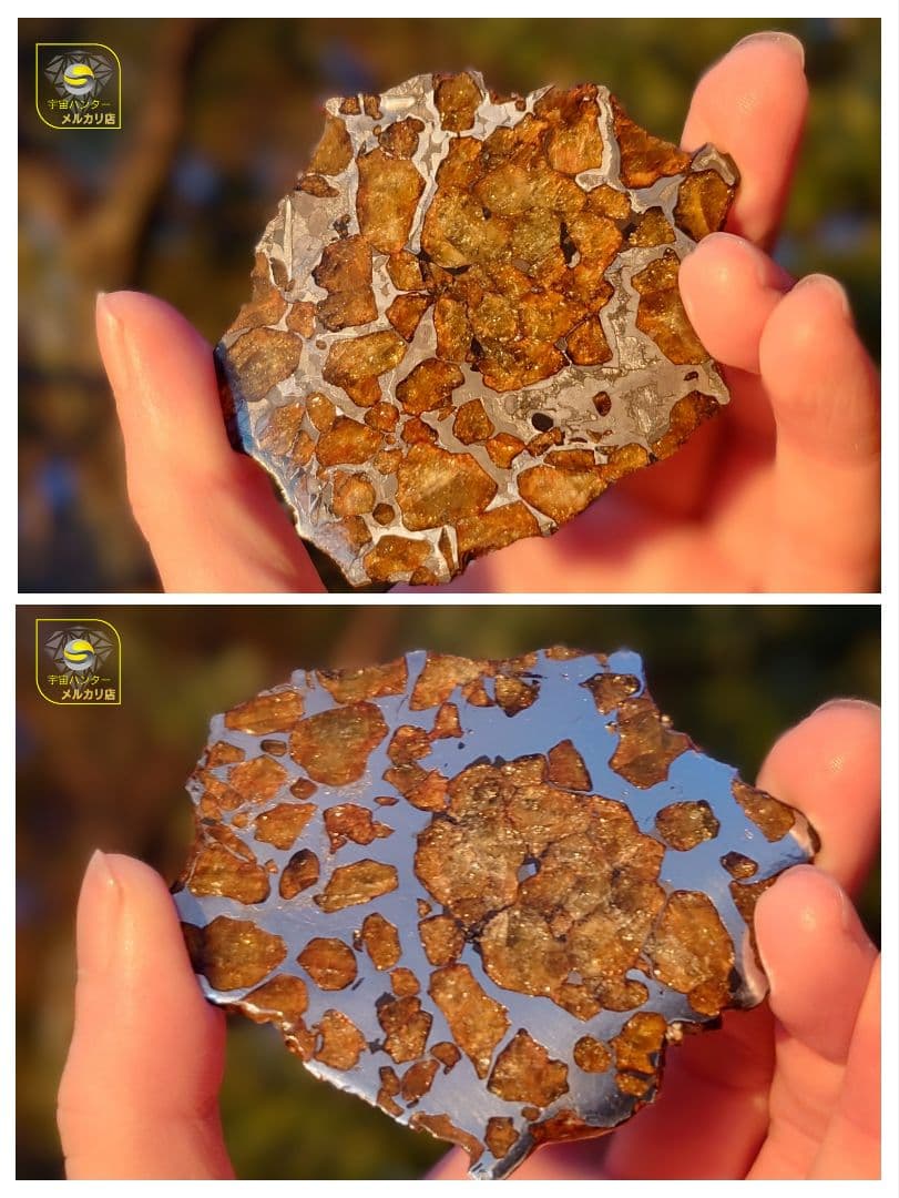 39.65g イミラック パラサイト 隕石 Imilac ⭐