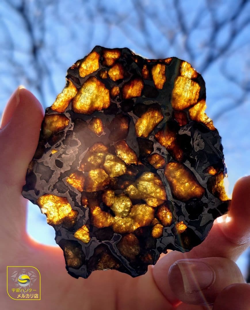 39.65g イミラック パラサイト 隕石 Imilac ⭐