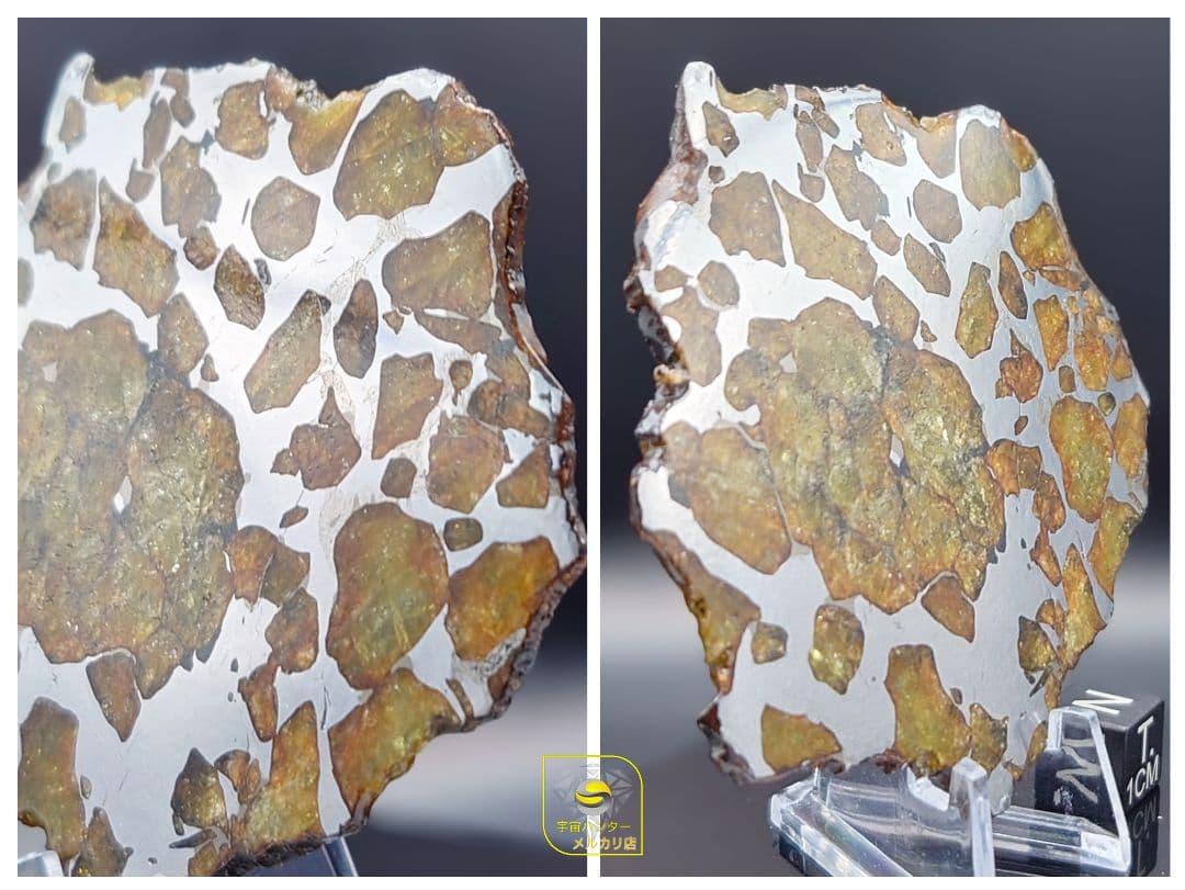 39.65g イミラック パラサイト 隕石 Imilac ⭐