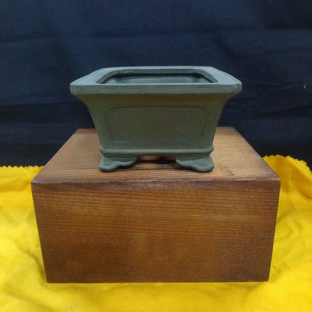 012.【寿悦】外縁額面長方鉢/ミニ盆栽鉢/木箱付き