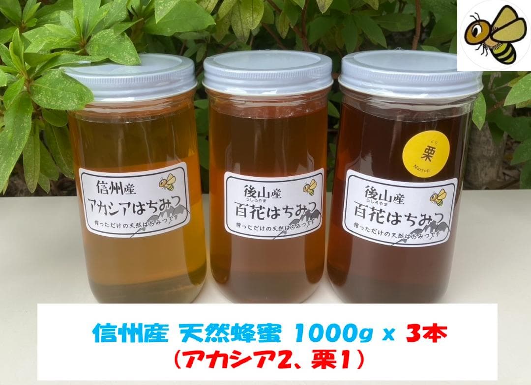 【ゆみ】 長野県産 国産蜂蜜 1000g 3本 生蜂蜜 セイヨウミツバチ