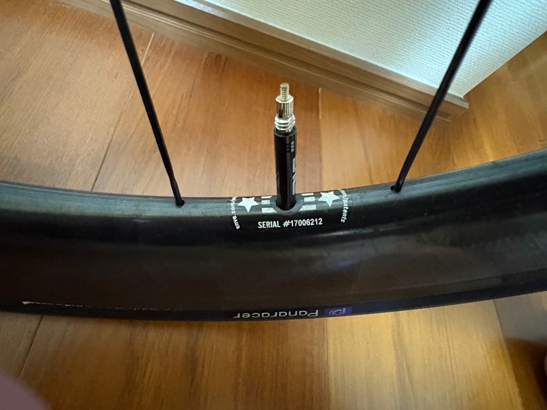 ENVE SES4.5 Philwood Pro Track Hub ホイール
