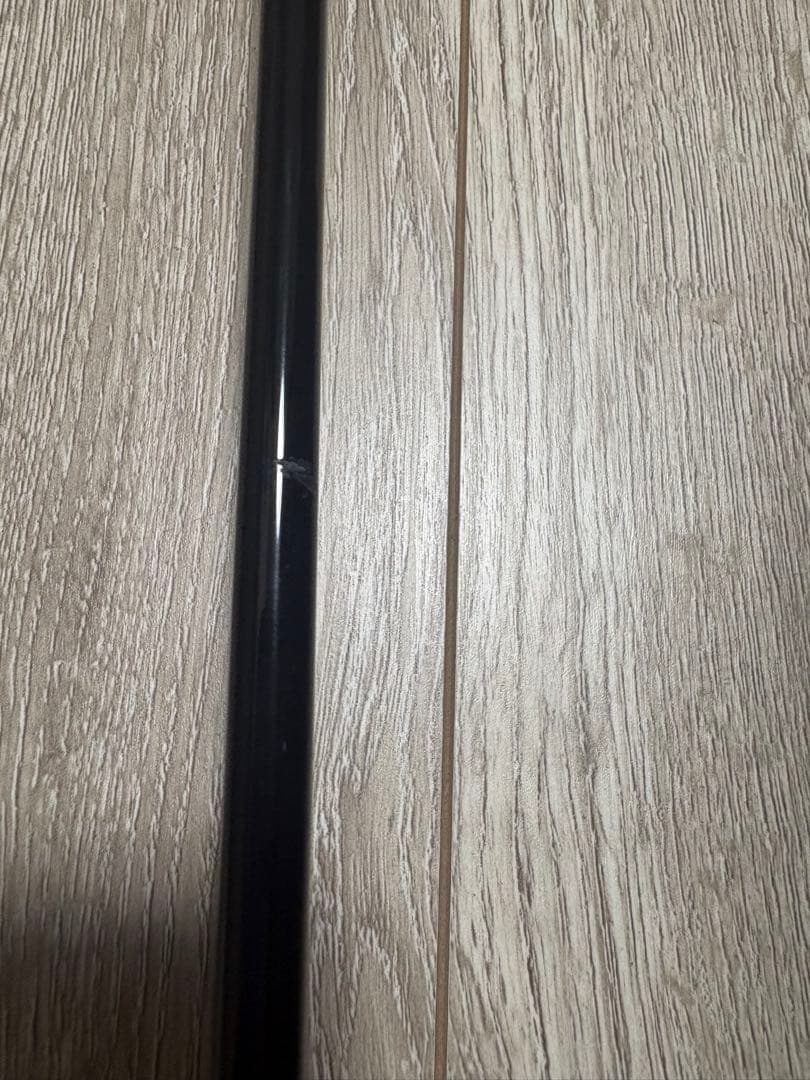 ゼスタ　スローエモーション　B5101