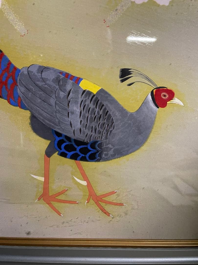 真作保証　上村松篁　「縞白鷴鳥」エディション77/200 木版画