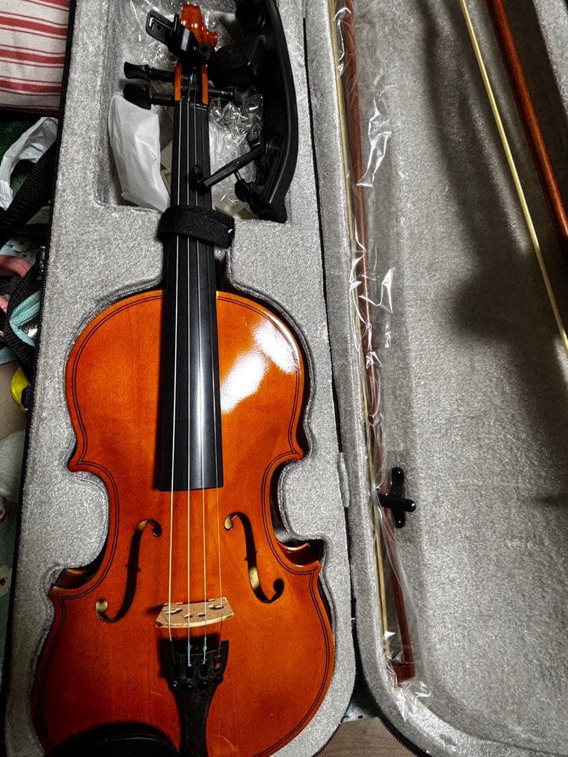 フルサイズ バイオリン 本体 ケース付き