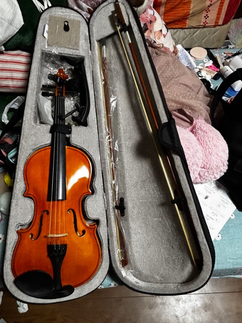 フルサイズ バイオリン 本体 ケース付き