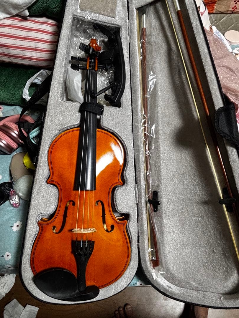 フルサイズ バイオリン 本体 ケース付き
