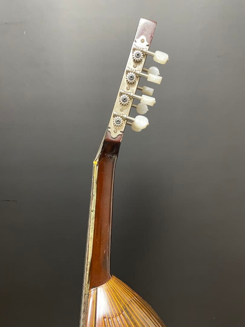 SUZUKI スズキ M-50 マンドリン ハードケース付き