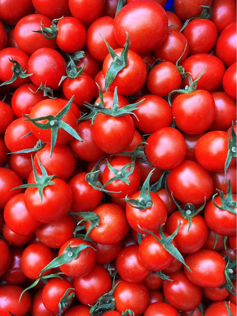 ミニトマト　9kg ⭐️週明け発送予定