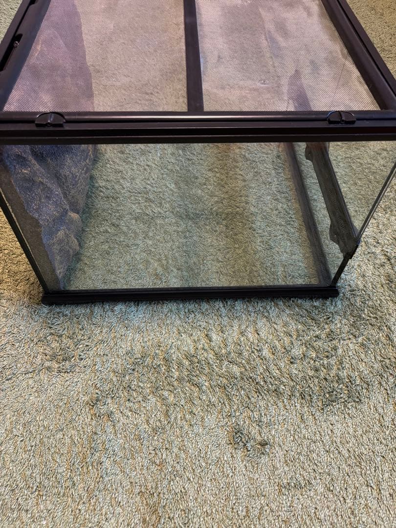 GEX ジェックス グラステラリウム4530 飼育セット