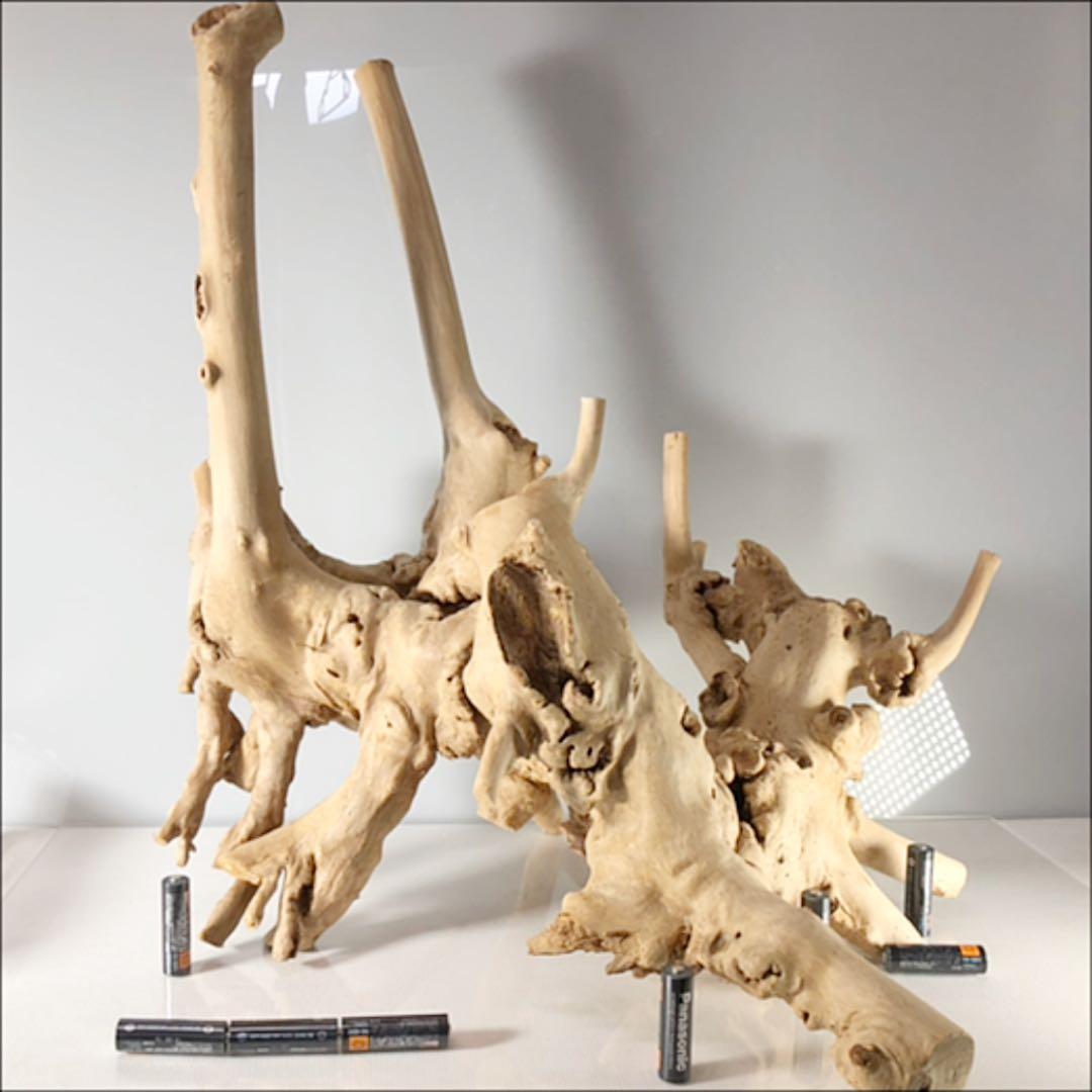 アクアリウム 流木 インテリア