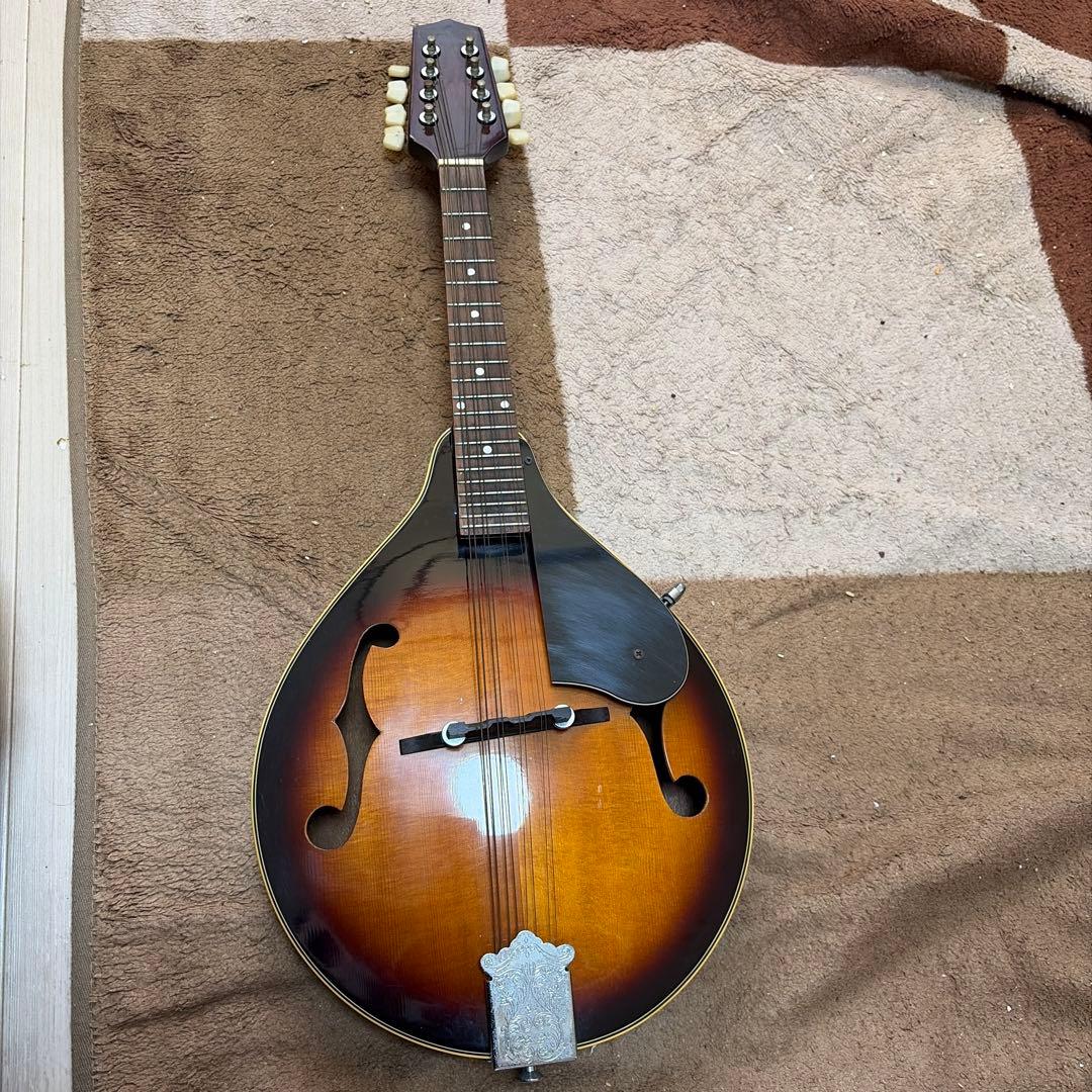 フラットマンドリン　MAVIS