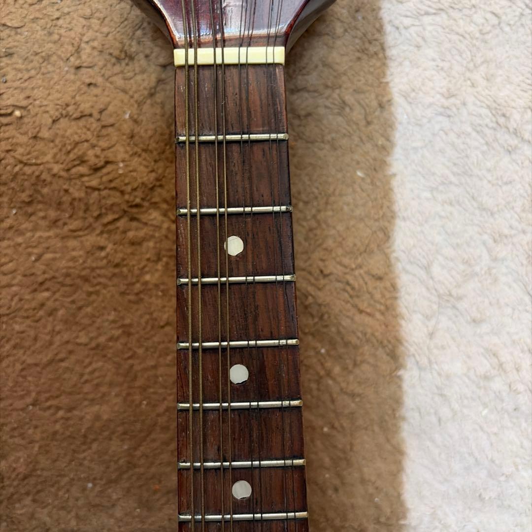 フラットマンドリン　MAVIS