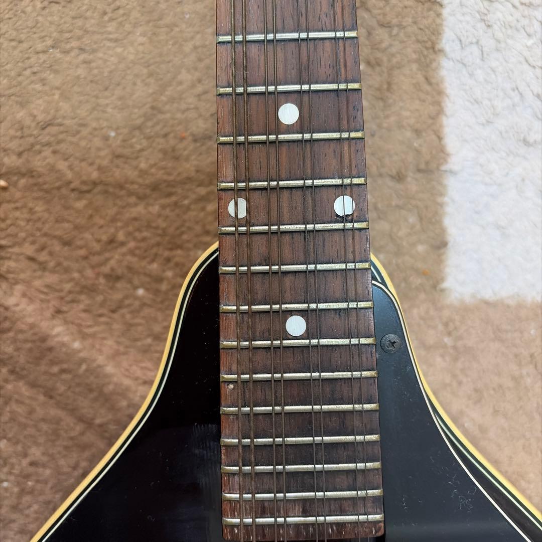 フラットマンドリン　MAVIS