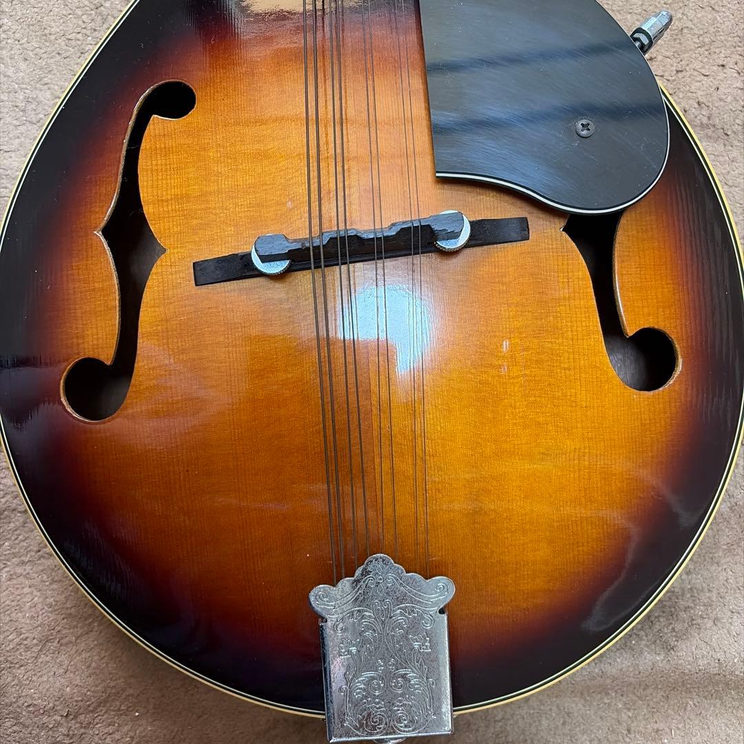 フラットマンドリン　MAVIS