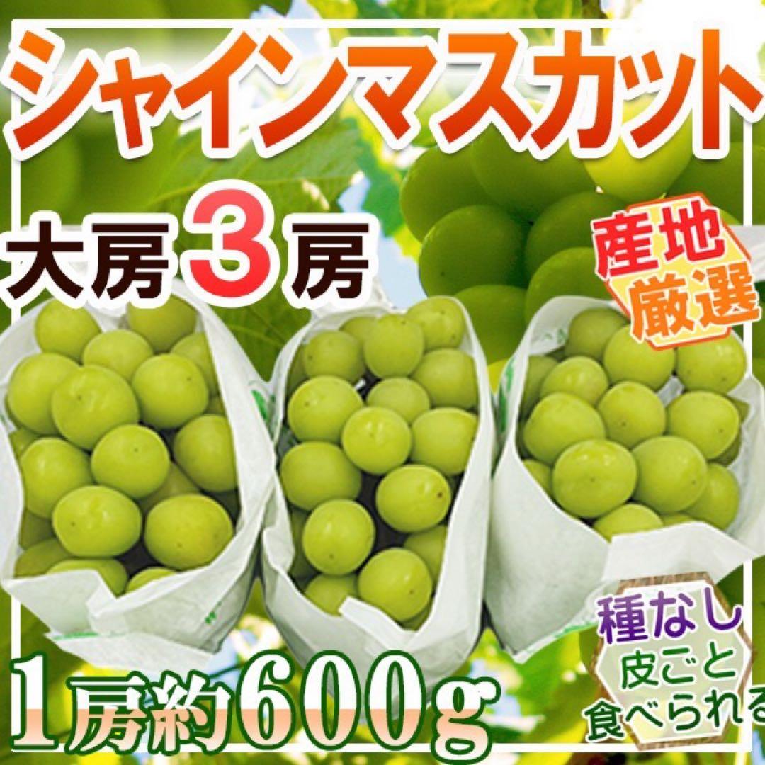 産地厳選　シャインマスカット　1房約600g×3房 クール便発送