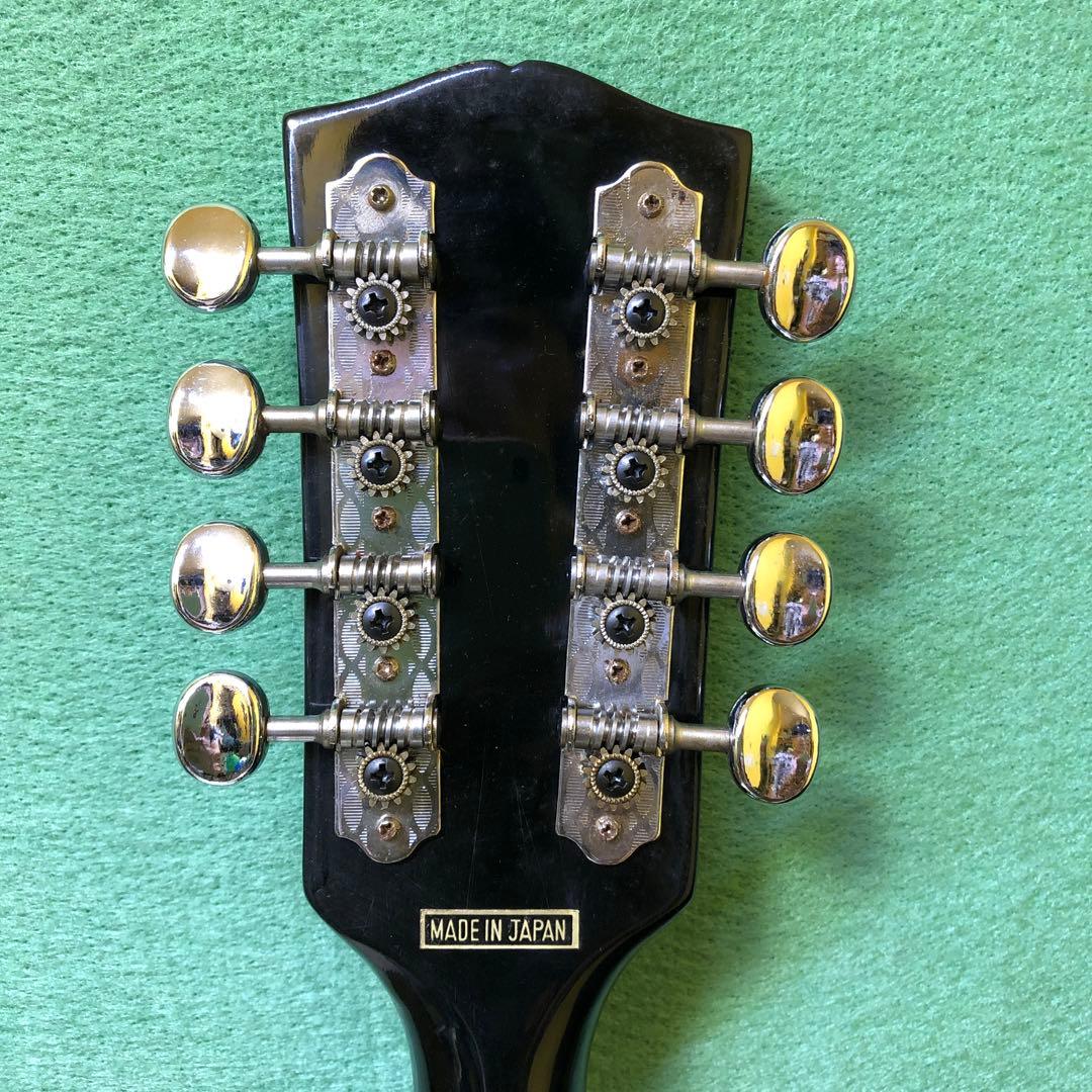 フラットマンドリン 日本製ハードケース付き！