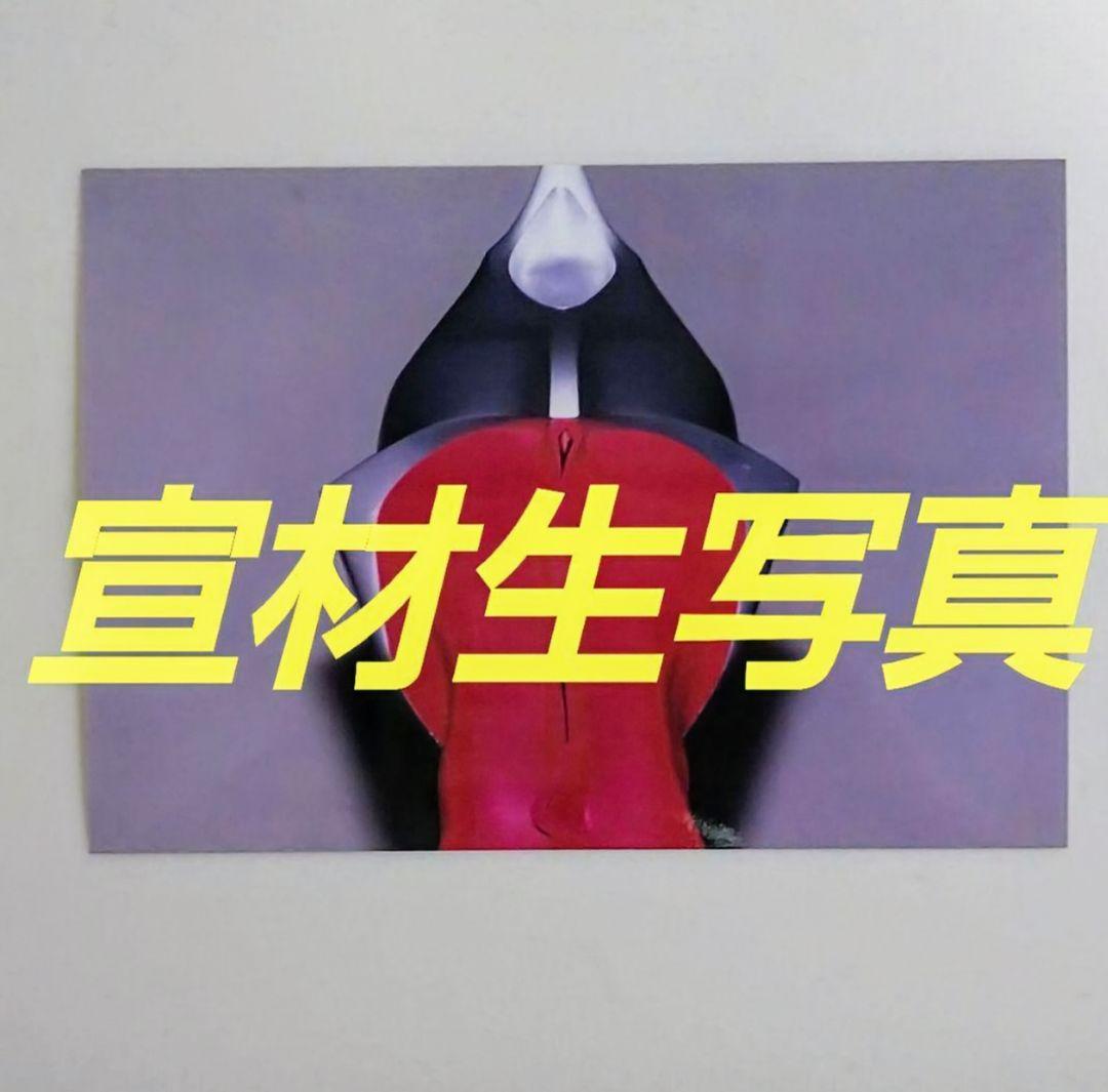 「ウルトラマンティガ」宣材用生写真１０枚セット（非売品・新品・１９９６年）