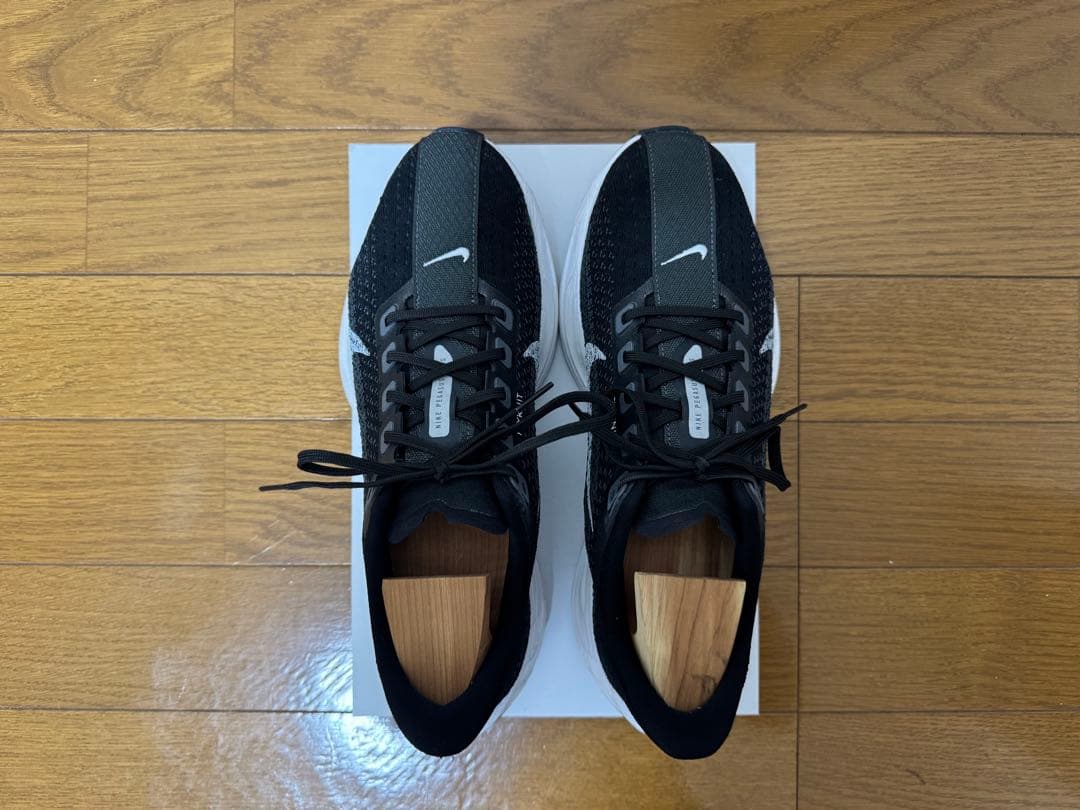 ナイキ　ペガサスプラス 25cm