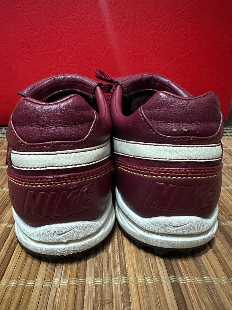 【希少】NIKE ナイキ ティエンポ ロナウジーニョモデル