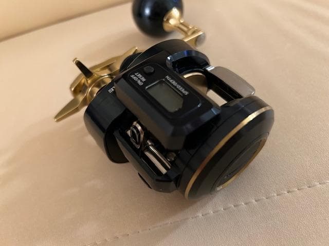 ダイワ 21ソルティガ IC 300