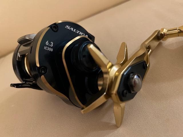 ダイワ 21ソルティガ IC 300