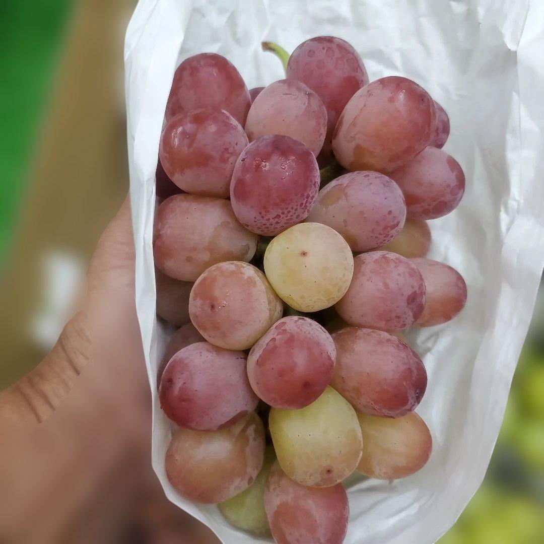 3️⃣ 山梨県産 シャインマスカット＆スカーレット １０房入り 箱込み5.4キロ