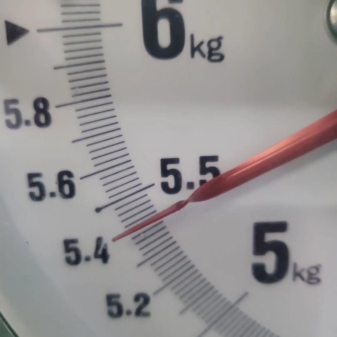 3️⃣ 山梨県産 シャインマスカット＆スカーレット １０房入り 箱込み5.4キロ