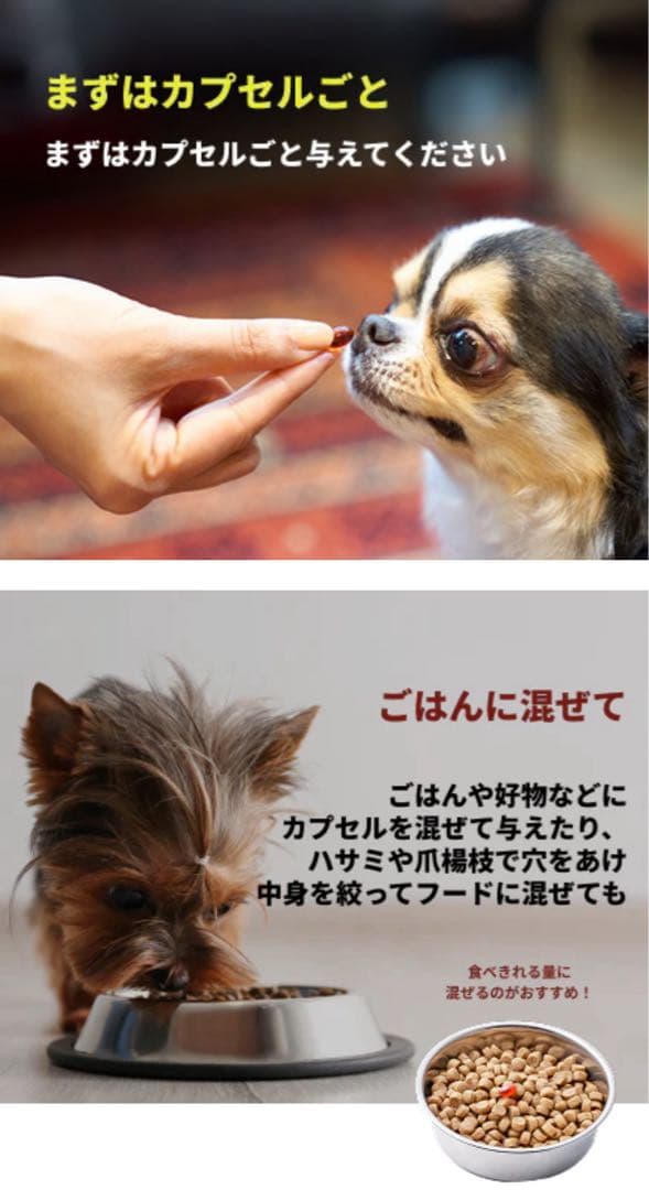 VetZ PetZ アンチノール 90粒 3箱