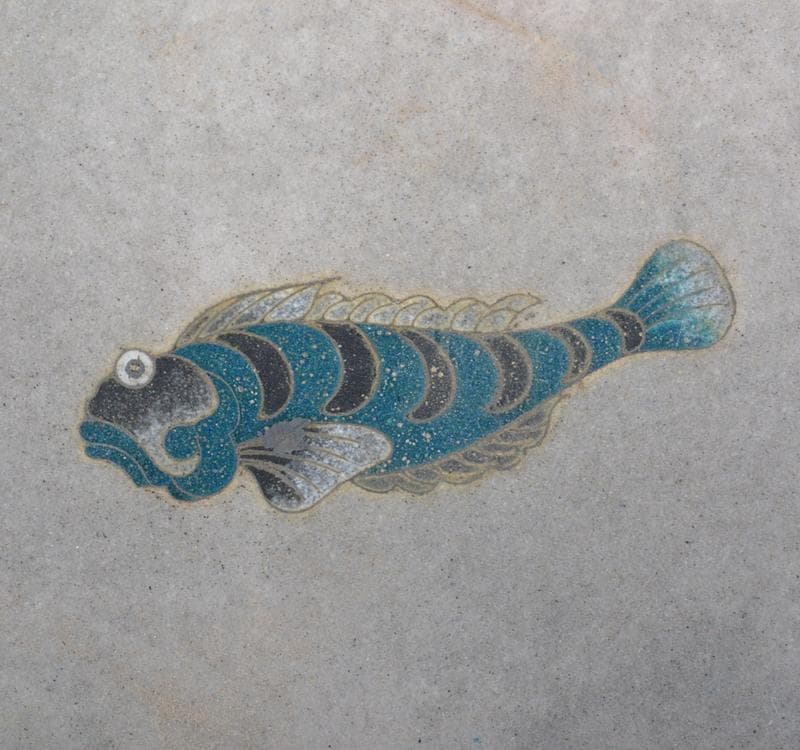 七宝焼　古七宝琺瑯彩　オコゼ　魚文盤　小皿 M　R4298