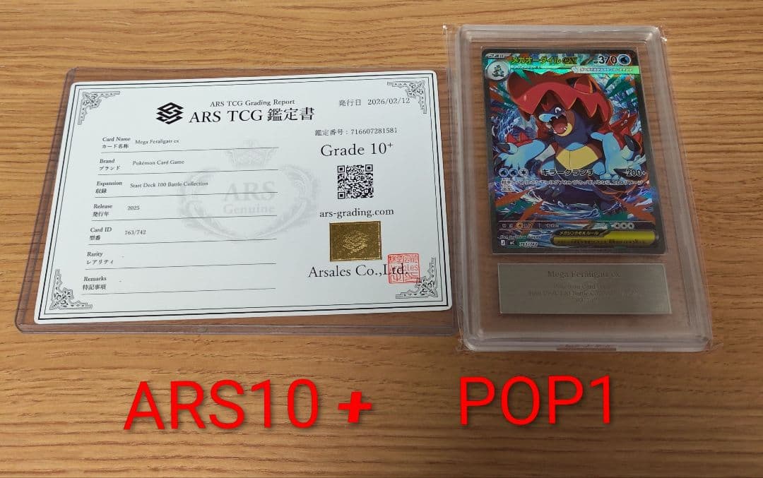 メガメガニウム　メガエンブオー　メガオーダイル　ARS10＋