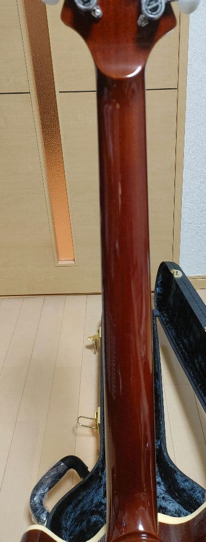 ギター T's Arc-STD24 5A Flame Maple Arctic Blue