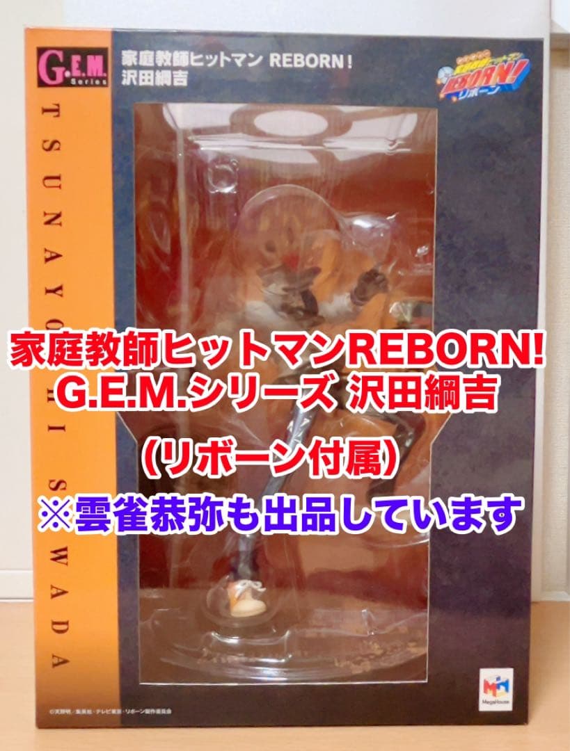 G.E.M.シリーズ 家庭教師ヒットマンREBORN！ 沢田綱吉＆リボーン