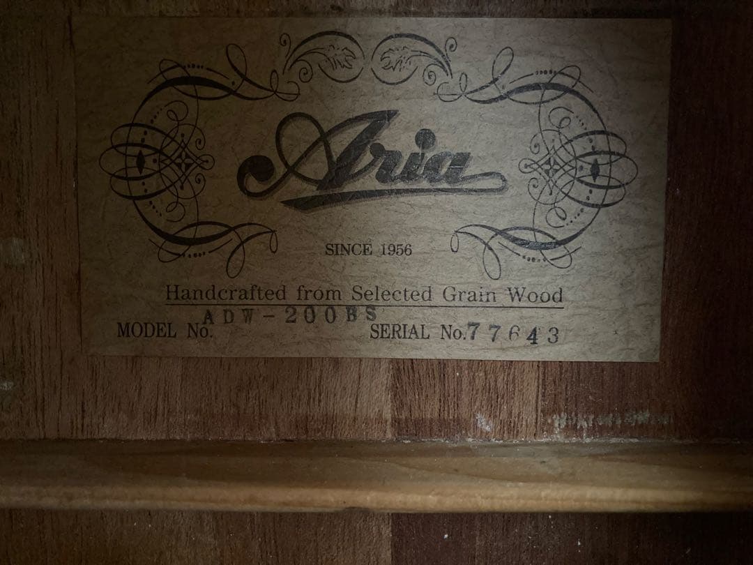 ◾️極美品 Aria アコースティックギター ◾️ソフトケース・教本2冊付