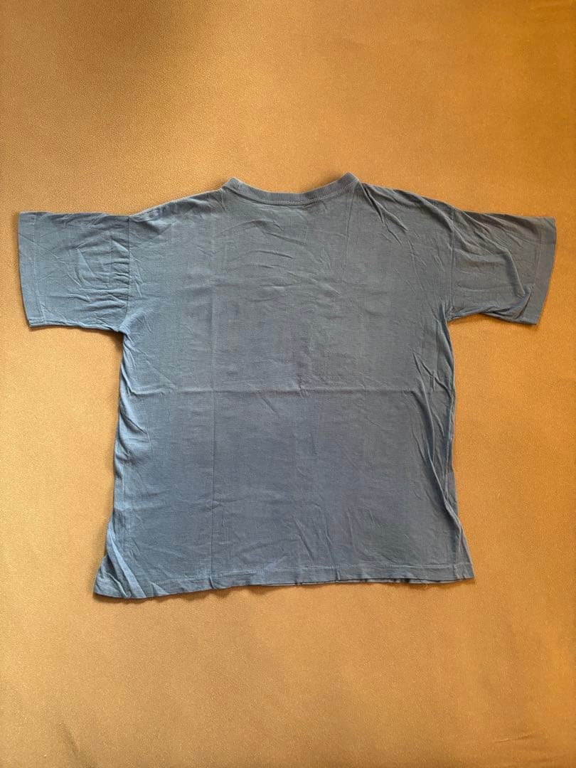 希少　80s CASH FROM CHAOS Tシャツ