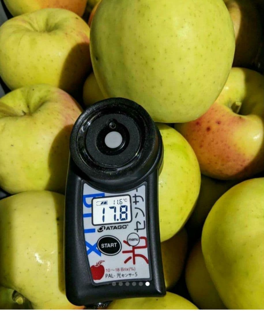 じぃじの美味しい林檎　ぐんま名月10k