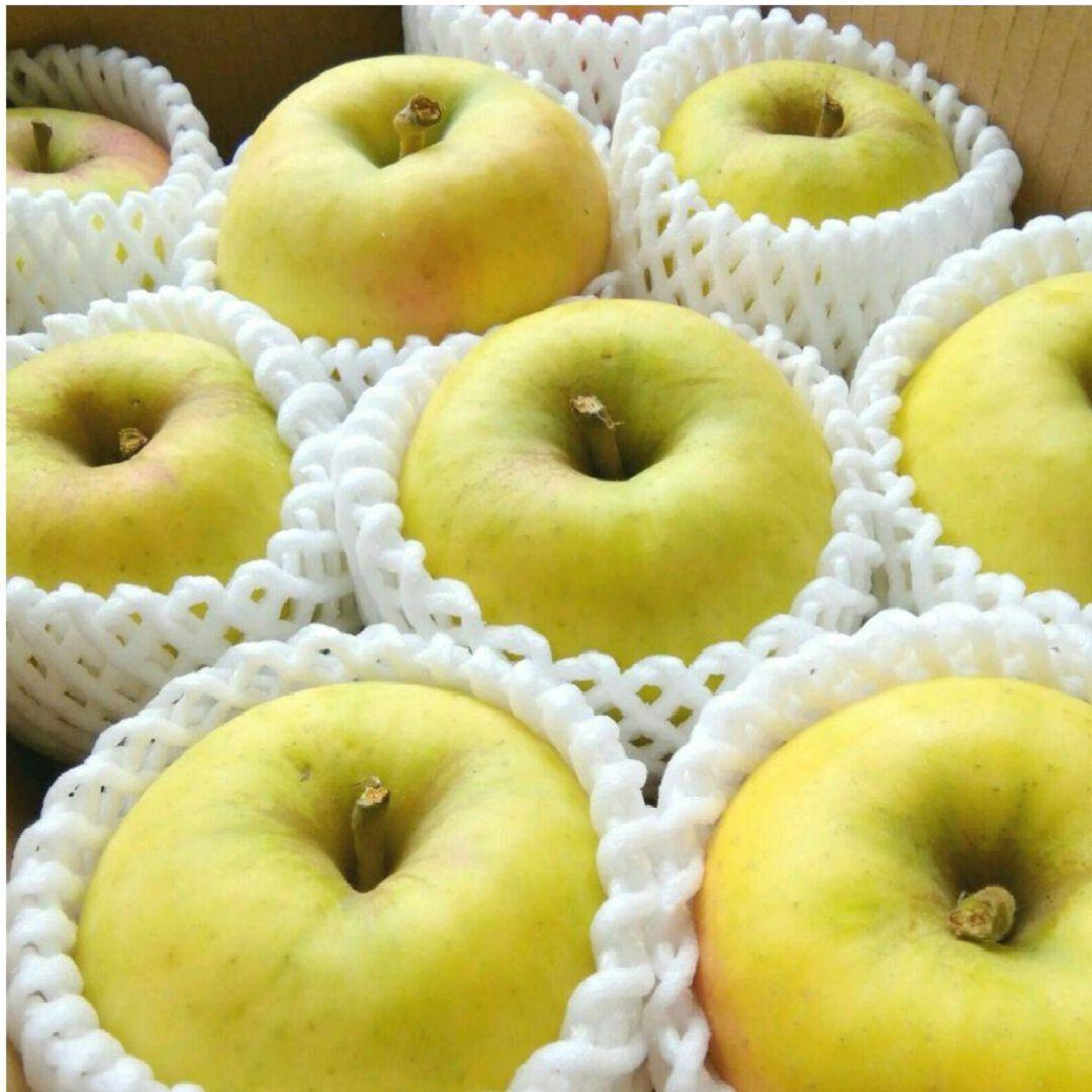 じぃじの美味しい林檎　ぐんま名月10k