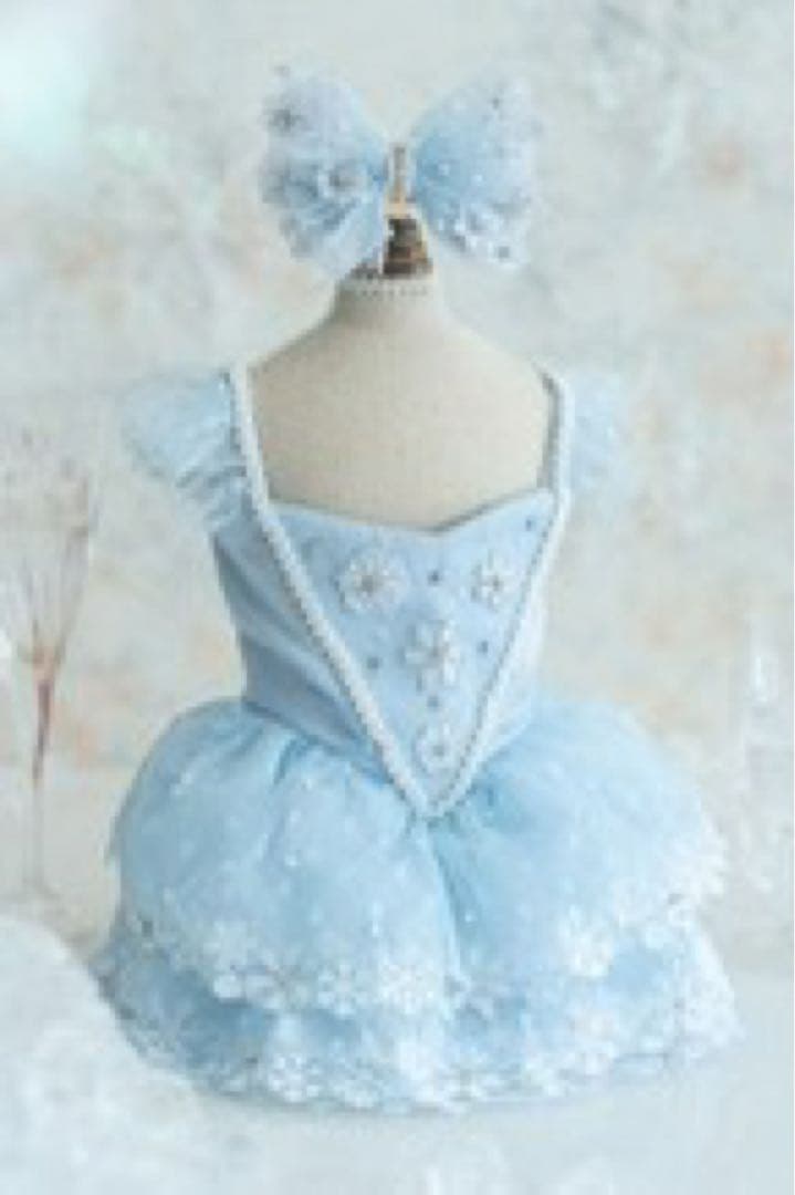 【 Pet a Portre (ペット ア ポルテ) 】水色ドレス リボン付き