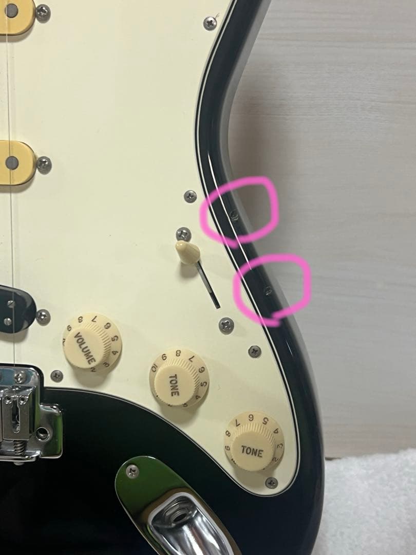 菅原卓郎モデルEDWARDS E-SN-123TAKURO