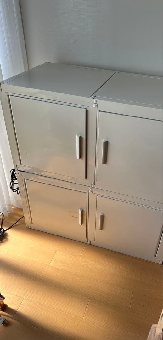 冷やし虫家2個セット