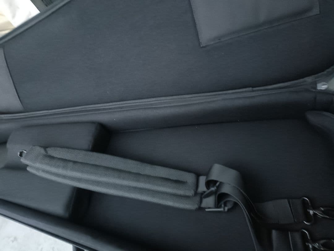 FUJIGEN　EOS ASH WB ギター（セミオーダー品）　ハードケース付