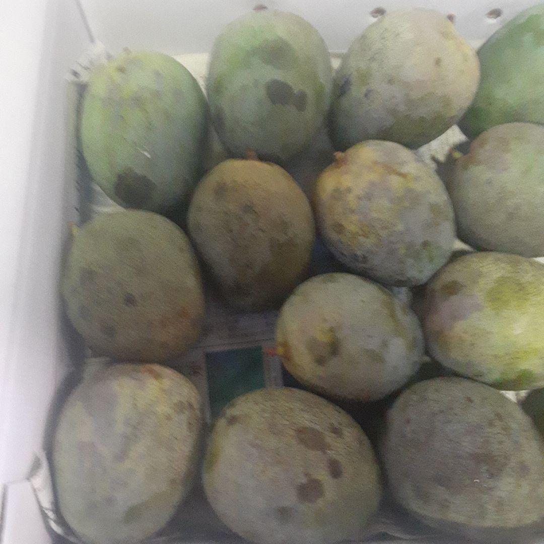 キーツマンゴー6㎏②