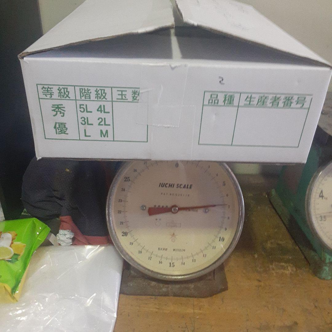 キーツマンゴー6㎏②