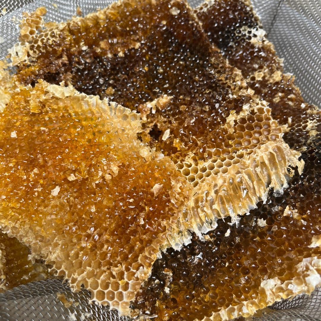 天然 日本みつばち はちみつ 500g×2本 非加熱 百花蜜 生ハチミツ 新蜜