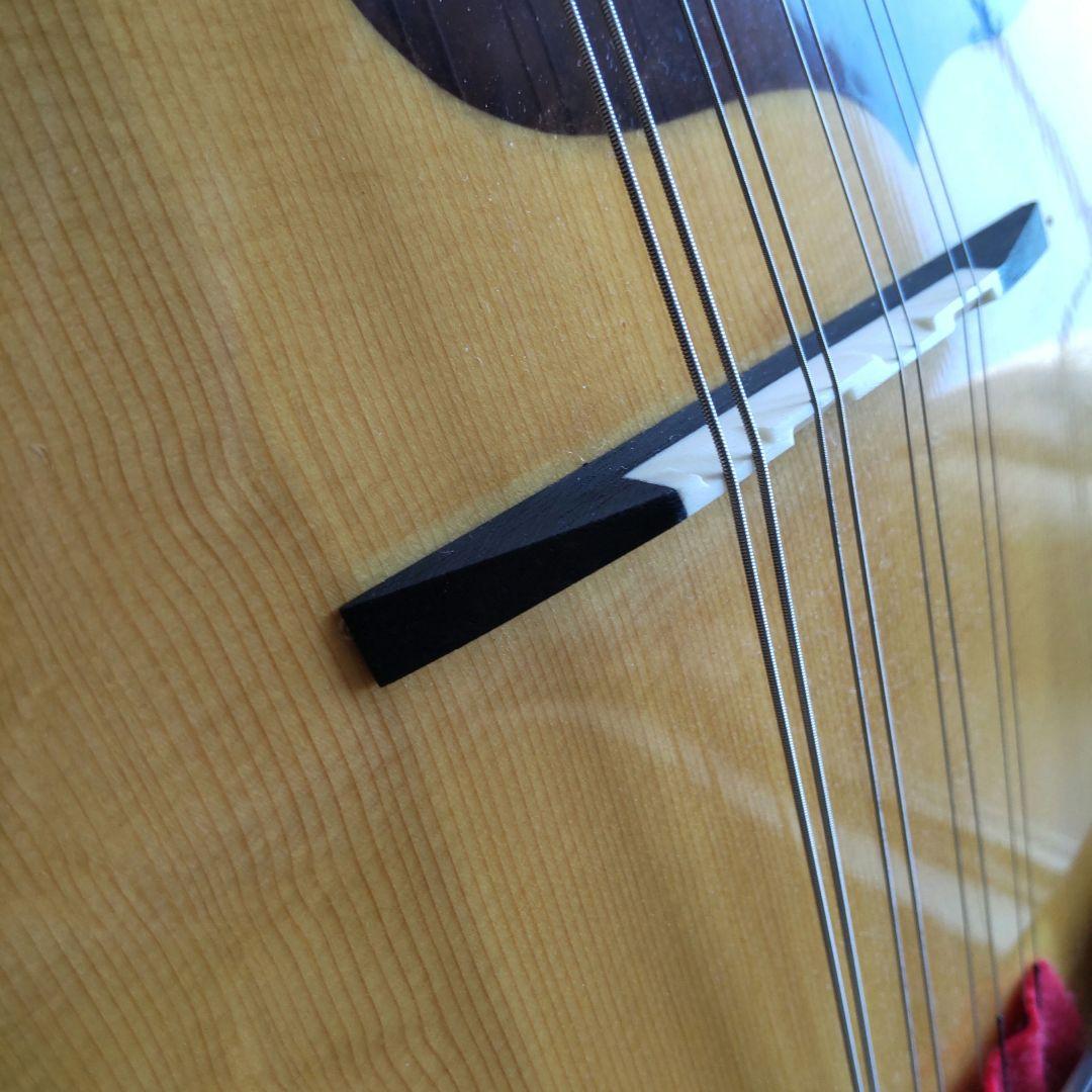 Calaceカラーチェ No24 マンドリン