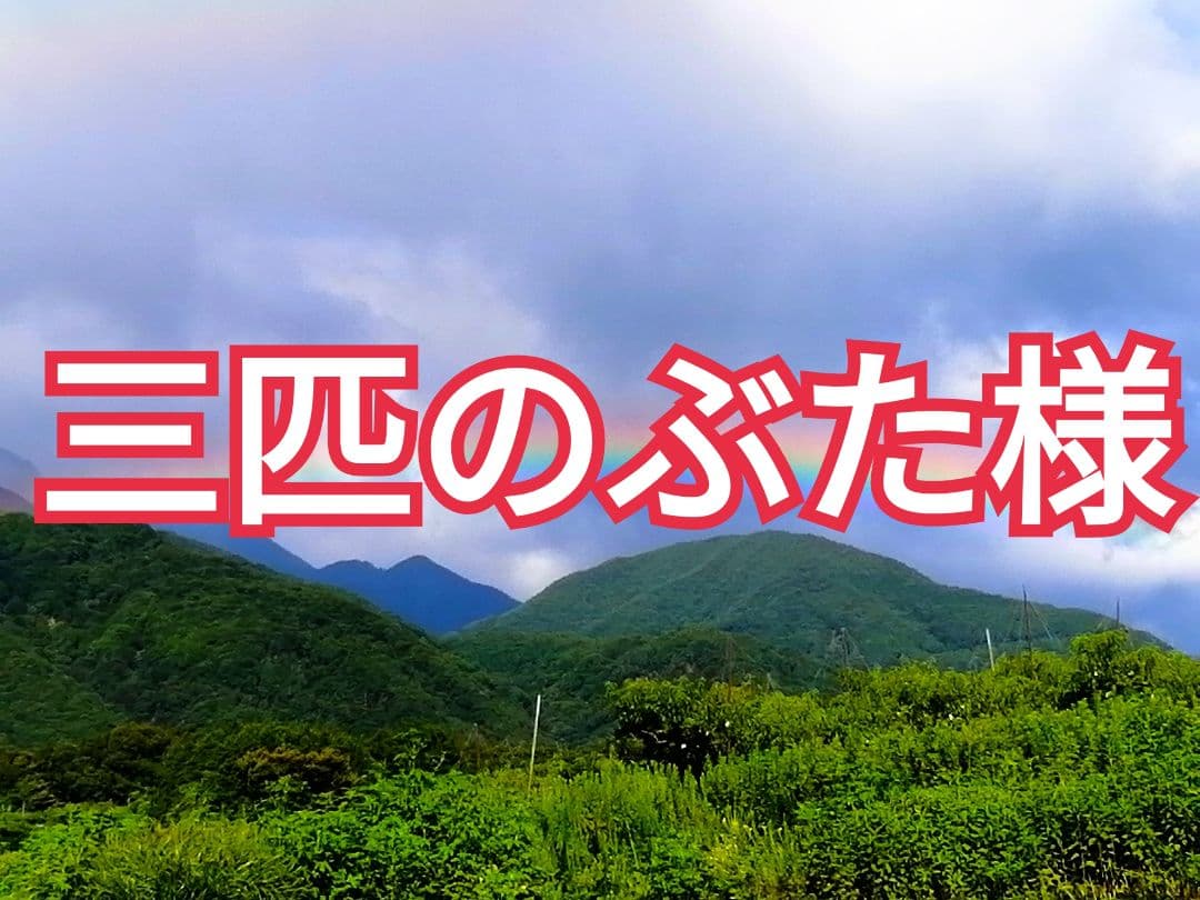 三匹のぶた様　山梨県産　干し柿・枯露柿用　渋柿　甲州百目柿　20kg