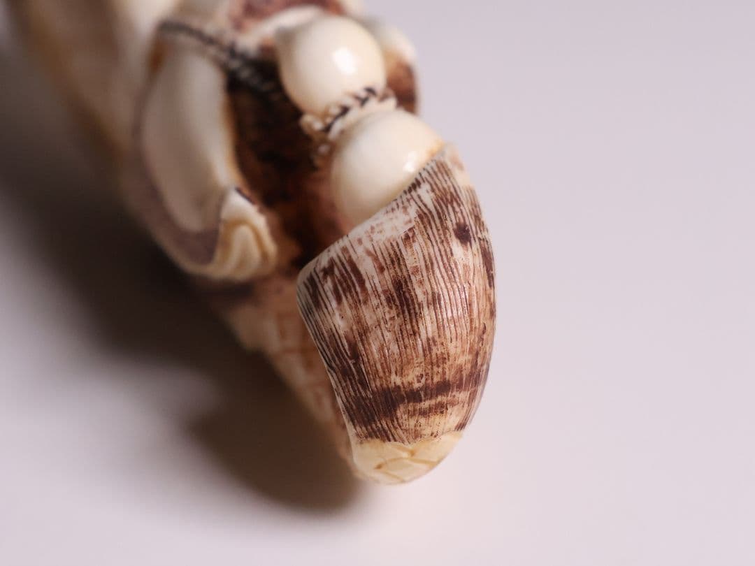 時代 堤物 根付 置物 天然素材 鯉乗寿老人 在銘 峰山 牙 彫刻【CM278】