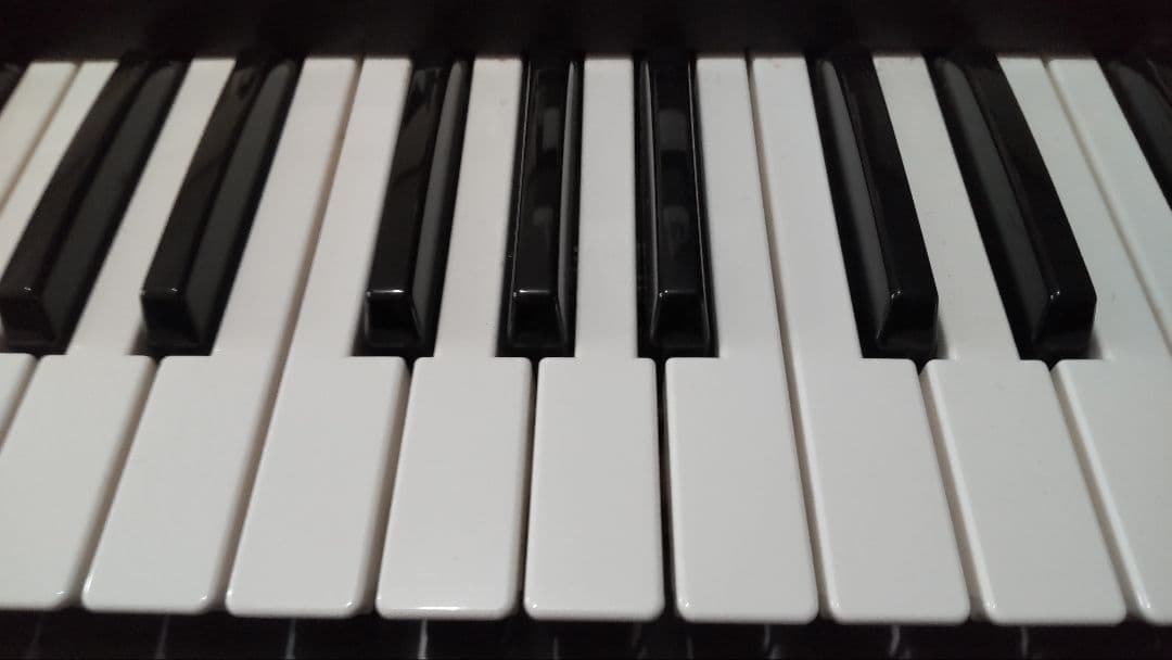 ノ*キ様 Roland JUNO-Diシンセサイザー（純正ソフトケース付き）