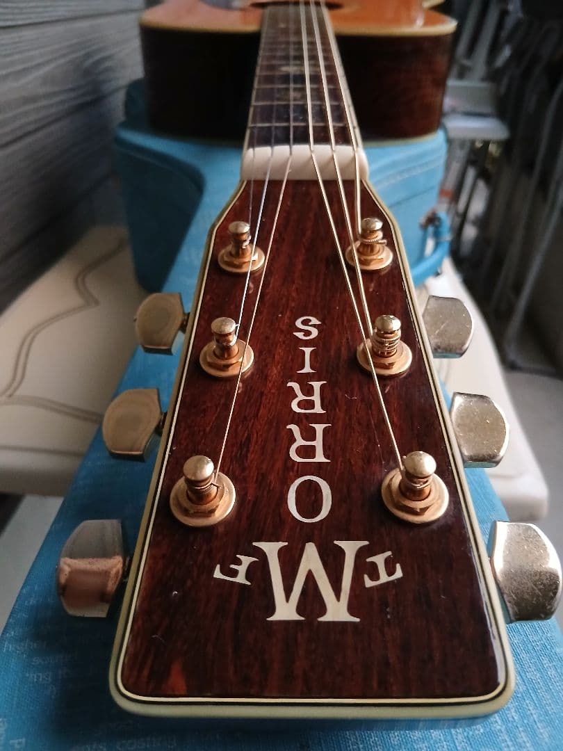 MORRIS TF-50(HC付き)